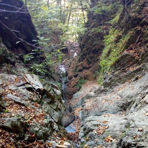 Photo #4397003
