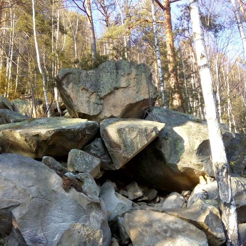 Photo #4397013