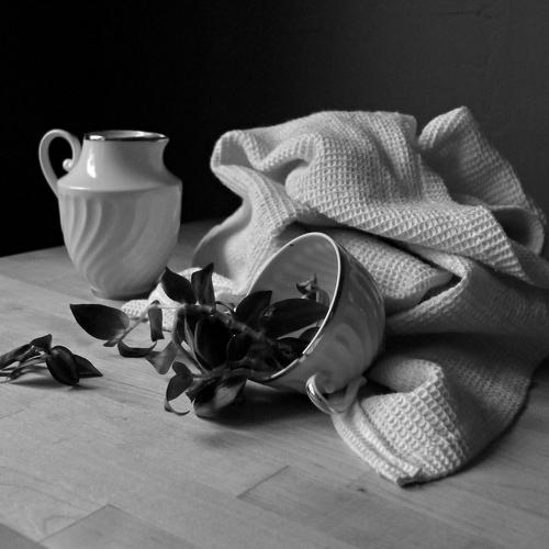 Photo #4397018