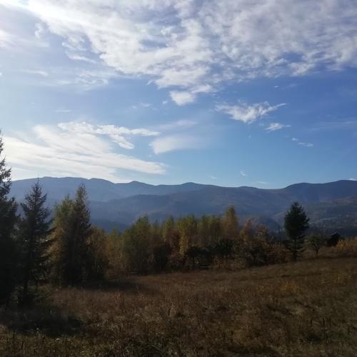 Photo #4397123