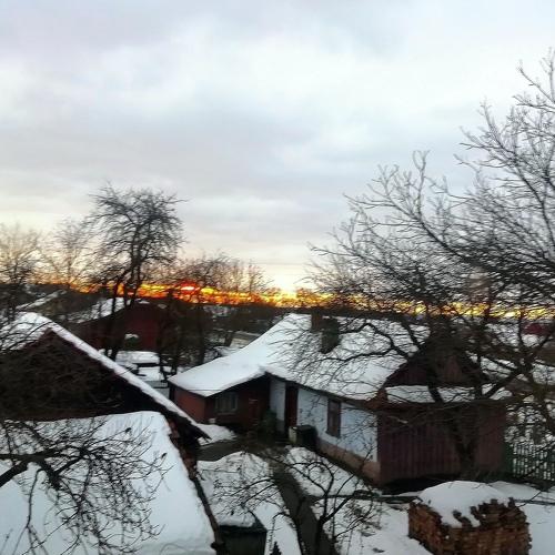 Photo #4397243