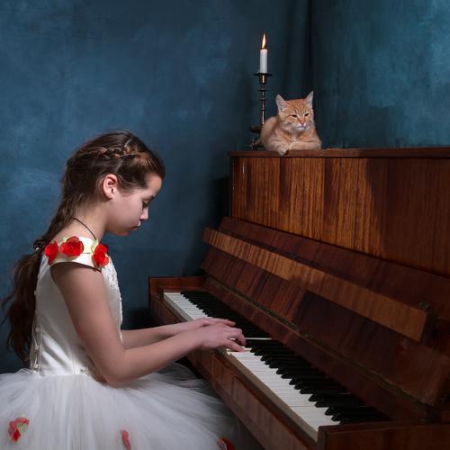 Симфония про кота.