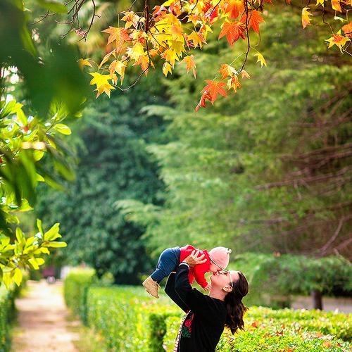 Photo #4397274