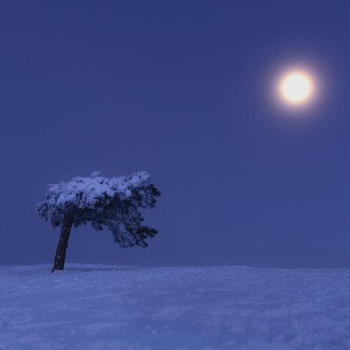 Photo #4397832
