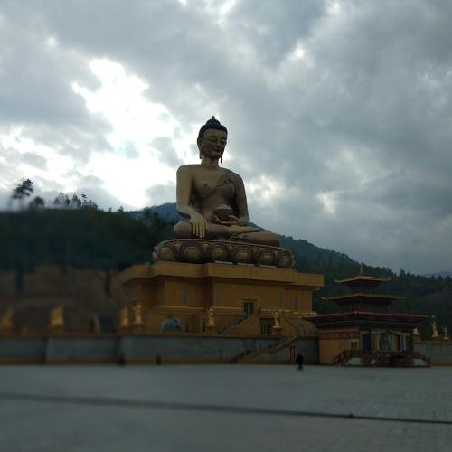 Photo #4397908