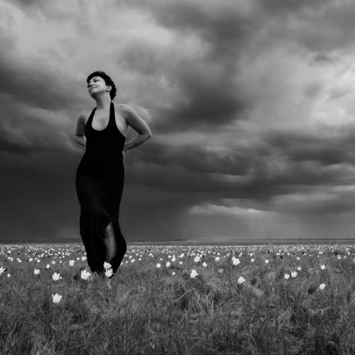 По широкому пройду полю ...