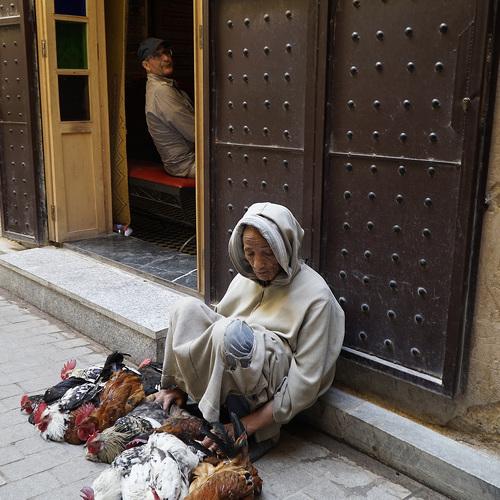 Photo #4398318