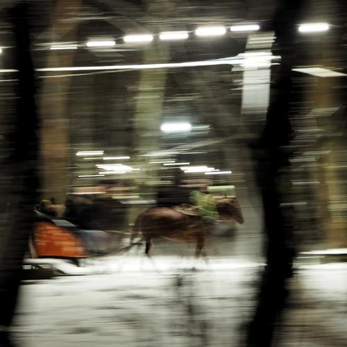 Photo #4398454