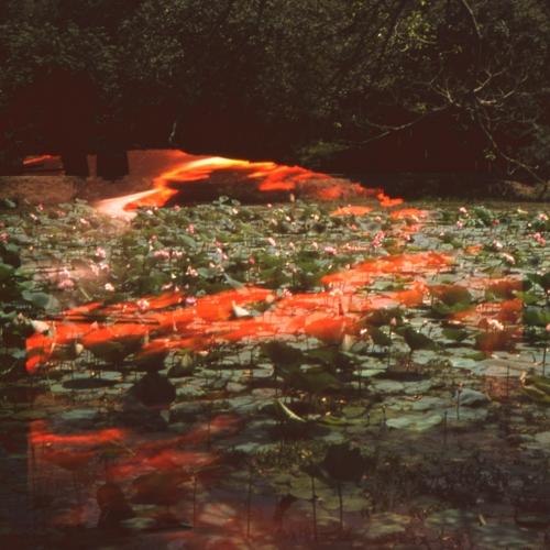 Photo #4398531