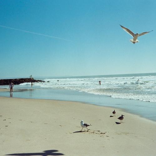 Photo #4398565