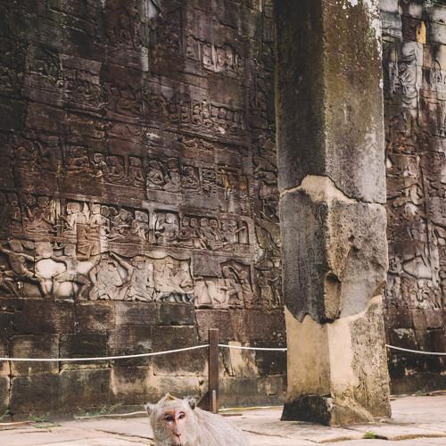 Photo #4398666