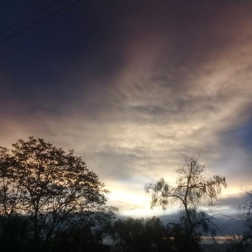 Photo #4398860