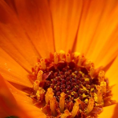 Photo #4399719