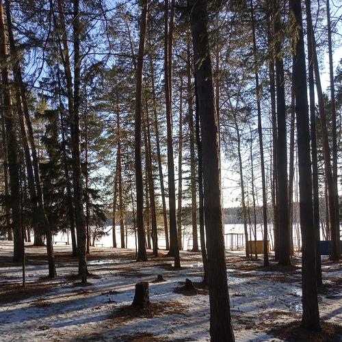 Photo #4399866