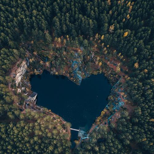 Photo #4400010