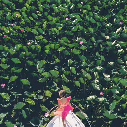 Photo #4400127