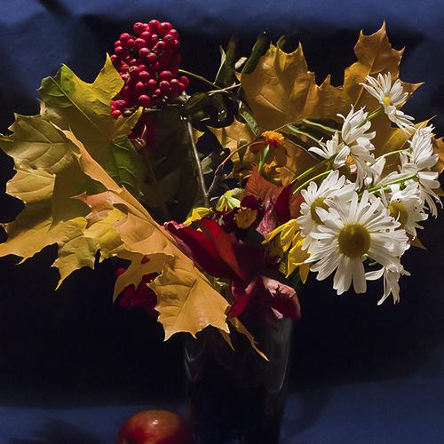 Photo #4400214