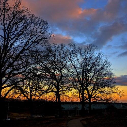 Photo #4400360