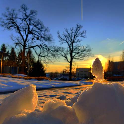 Photo #4400361