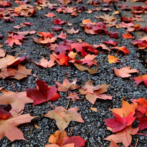 Photo #4400367