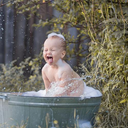 Photo #4400483