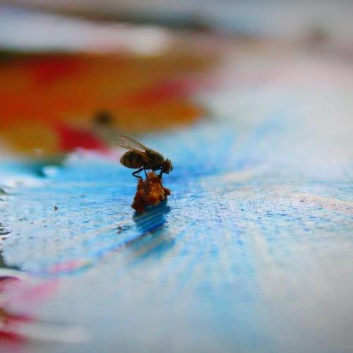 Photo #4400846