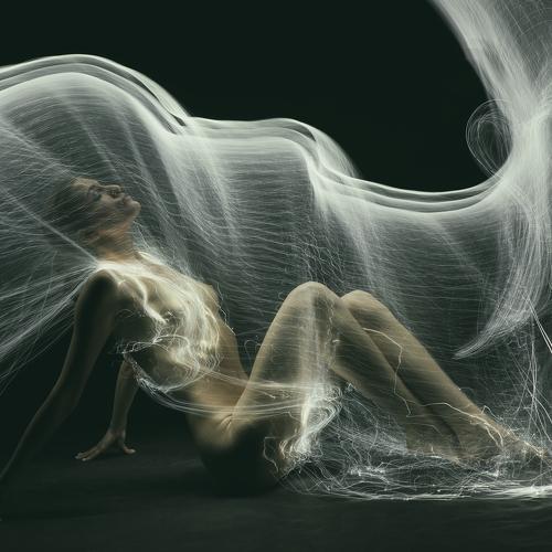 Photo #4401030