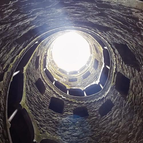 Photo #4401083
