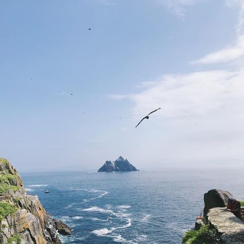 Photo #4401164