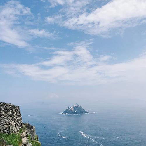 Photo #4401289