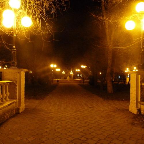 Огни приморского парка.
