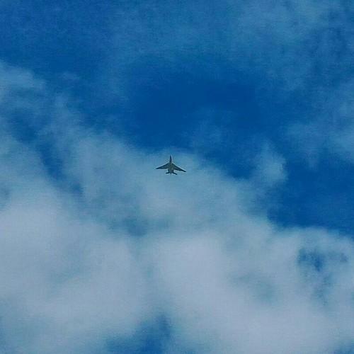 Plane flight