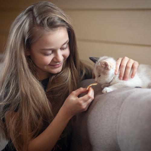 Photo #4401571