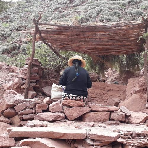 Photo #4401844