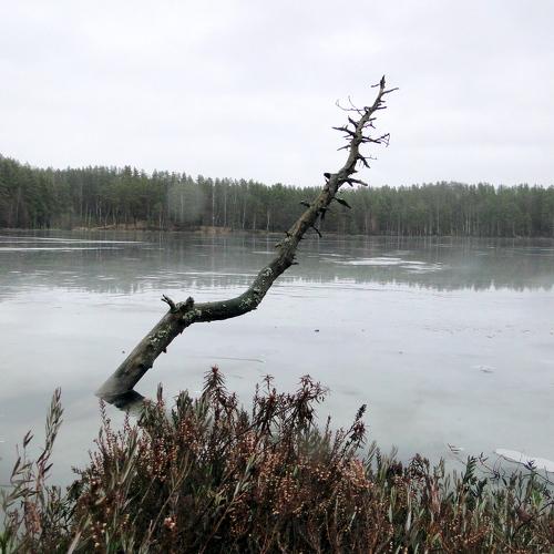Photo #4402081