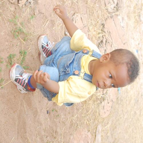 Photo #4402285