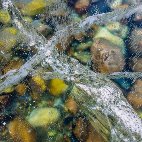Photo #4402371