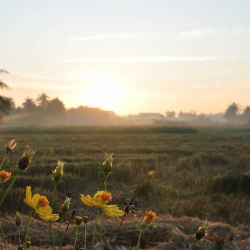 Sunrise