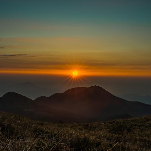 Photo #4402531
