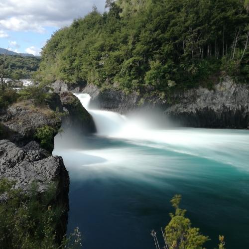 Photo #4402841