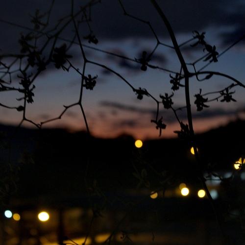 Photo #4402897