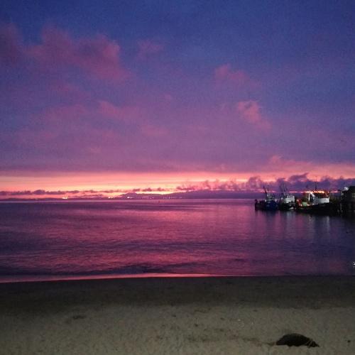 Photo #4402945