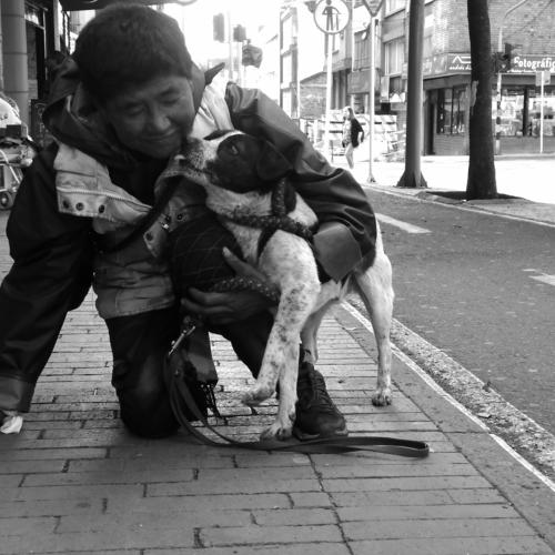 Photo #4403025