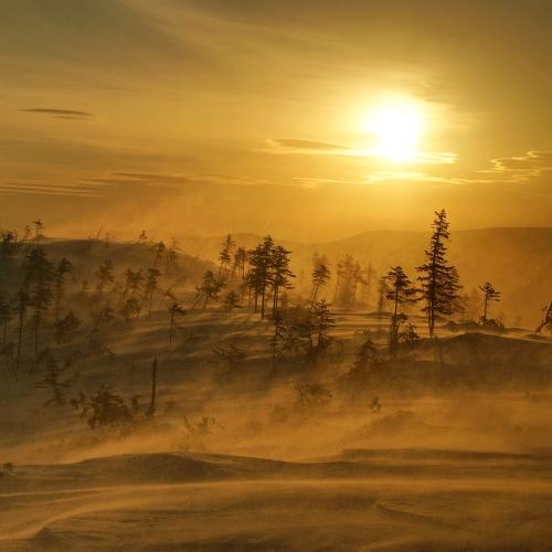 Photo #4403245