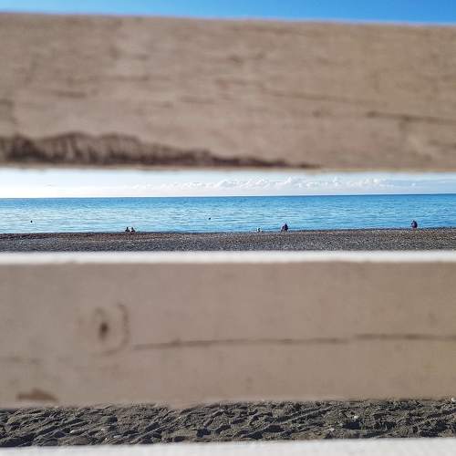 Photo #4403282