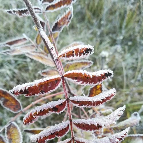 Photo #4403414