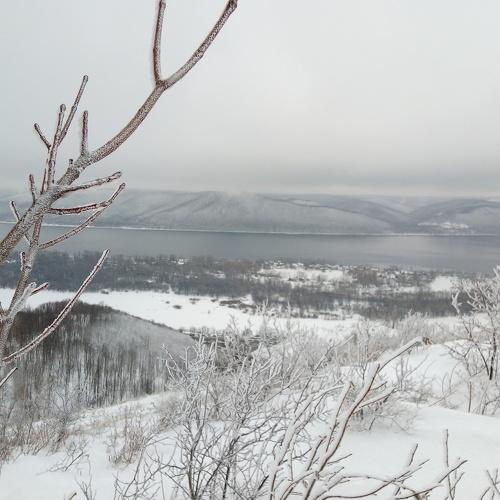 Photo #4403533