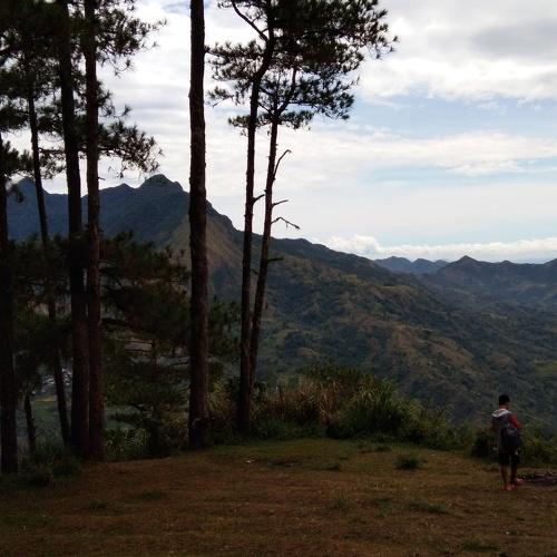 Photo #4403627