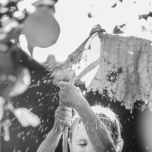 Photo #4403836