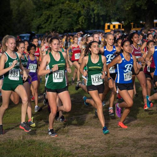 Photo #4403912